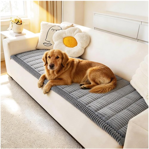 Soft dog couch - soft, to