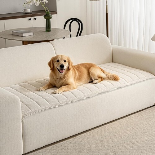 Stylish non slip - dog, couch